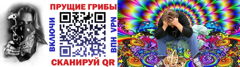 Псилоцибиновые грибы мицелий kraken ССЫЛКА Володарск сколько стоит